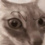 SoupieVonSoup's Avatar'