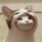 Johnyyy's Avatar'