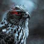 iHaukr's Avatar'