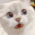 BBBbrakee's Avatar'