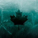 PotatoAim_1's Avatar'