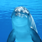 DailyTransgnder's Avatar'