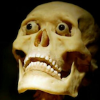 JellyMySkelly's Avatar'