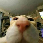 MuhkeaSlerba's Avatar'