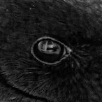 Adamas_34DB's Avatar'