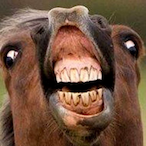 Zugenommen's Avatar'