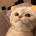 guestxUYI's Avatar'