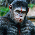ixsder's Avatar'