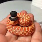 LittelSnekMan's Avatar'