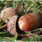 Eitelfritz777's Avatar'