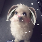 SKUTY OLLIE's Avatar'