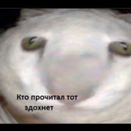 PELVOZAVR's Avatar'