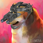 sleesherj's Avatar'