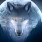 Nala20025456's Avatar'