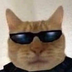 Zenekk.'s Avatar'