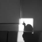 paeed's Avatar'