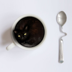 MaCchiATo915's Avatar'