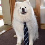 kendrickmonkey's Avatar'