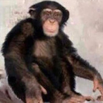 MikePhantom1's Avatar'