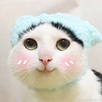 vvs gunher's Avatar'