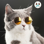 J_UST_CALMDOWN_'s Avatar'