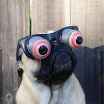 CA_Verttttt's Avatar'