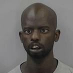D-Piddy73's Avatar'
