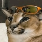 SquirmyWorm7000's Avatar'