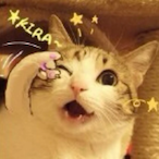 functjon doo's Avatar'