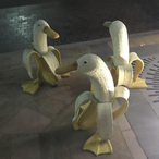 the_duck27's Avatar'
