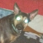 lboyer's Avatar'