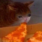TehGorgo_'s Avatar'