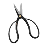Thegoodscissors's Avatar'
