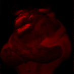 RF.DonToro's Avatar'
