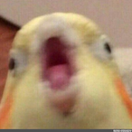 itzatoeera's Avatar'