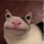tophatsnek's Avatar'