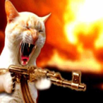 TacklingFatPigs's Avatar'