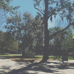 DitIsChristian0's Avatar