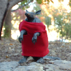 antsweaters's Avatar'