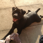 Pippahh's Avatar'