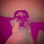 VyTwch's Avatar'