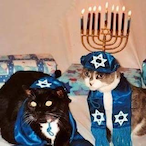 OmarAl-Bashir's Avatar'