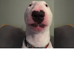 BigCamCar1's Avatar'