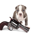 TrepidChief's Avatar'