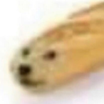 the_dingus.mp4's Avatar'