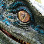 Raptorboy_loco1's Avatar'