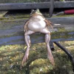 Athletic_nugget's Avatar'