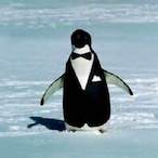 PP_Penguino's Avatar'