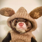 FORMERxZOMBIE's Avatar