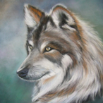 FRS_lonewolf's Avatar'